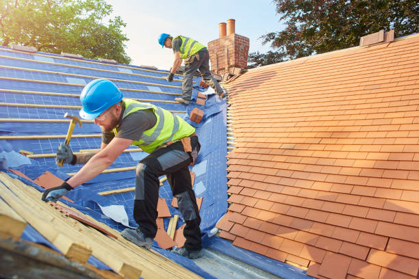 Best Rubber Roofing (EPDM, TPO)  in Berkeley, IL